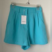 Pleated Shorts