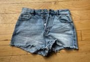 Vintage Distressed Highwaisted Shorts