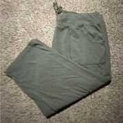 Woman’s Athletic Works Athleisure Core Knit Capris Pull on drawstring Size Large