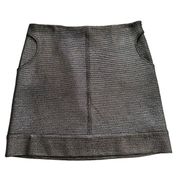 Diane Von Furstenberg Skirt Katinko Silver Metallic A-Line Skirt Size 10