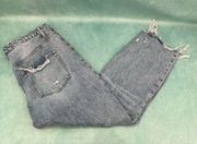 Vervet Distressed Denim 31