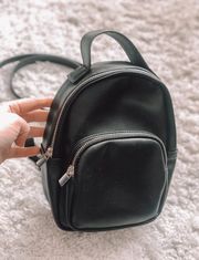 Small Purse Backpack