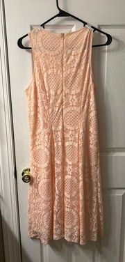 Pink lace Shift Dress