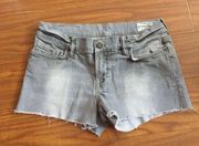 All Saints Gray Denim Cutoff Shorts!