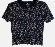 Hollister Short Sleeve Baby Tee