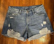 Arizona Vintage Mom Shorts