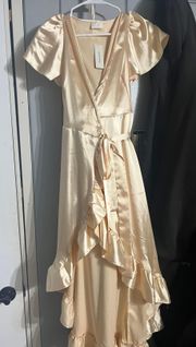 Francesca’s Champagne Maxi Dress