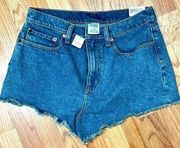 NWT Victoria Secret PINK High Waisted Denim Cutoff Shorts Size 10