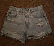 501 Shorts