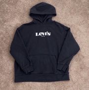 Levi's T3 Relaxed Graphic Hoodie