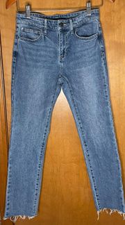 The Kitten Straight Leg Raw Hem Jeans Size 26