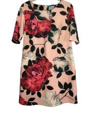 CeCe by Cynthia Steffe Romantic Flower Print Shift Dress Size L