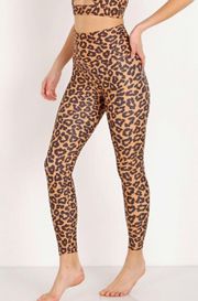 Leopard Leggings 