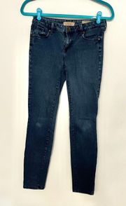 Vintage America Boho Skinny Jeans