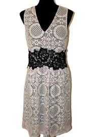 New York & Company White Lace A Line Dress Size 8