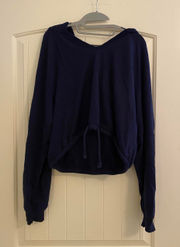 Hollister Cropped Hoodie