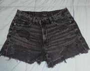 Outfitters Jean Shorts