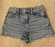 Outfitters Jean Shorts