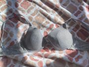 Gray Bra