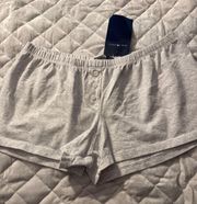 Brandy Melville Grey Shorts 