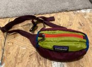 Patagonia Fanny pack