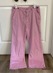 Pilcro Wide Leg Pink Lilac Pants Size 27