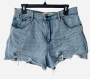 Abercrombie & Fitch High Rise Denim Shorts Curve Love