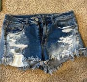 Outfitters Denim Shorts