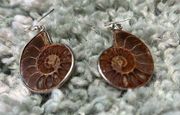 Super rare partially OPALIZED genuine Ammonite fossil earrings 🐚🪨 AUSTRALIAN