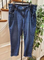 Jag Women's Blue Denim Cotton Mid Rise Straight Legs Casual Jeans Pants Size 22W
