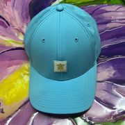 Turtle American Needle baseball cap powder blue