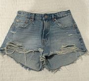 Zara Jean shorts