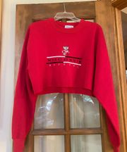 Wisconsin Cropped Crewneck