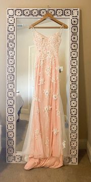 Baby Pink Prom Dress