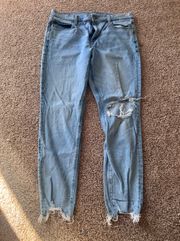 AE Stretch Ripped 90’s Skinny Jean