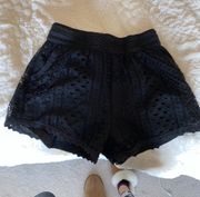 Miami Lace Black Shorts 