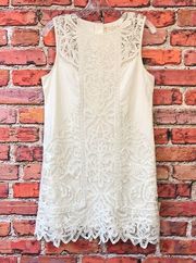 White Lace Anthropologie  Garden Shift Dress