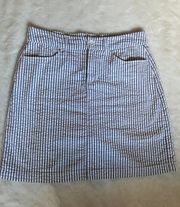 Skirt Size 6