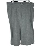 Faded Glory Women's Sleepwear Essentials Pajama Pants Size L Gray