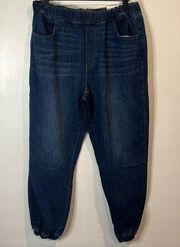 NWT | Womens | LOFT | High Rise Jogger Pants | Medium