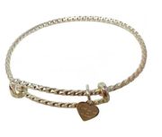 Alex and Ani America the Beautiful Collection Adjustable Bangle Bracelet