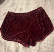 John Galt Velvet Shorts