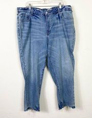 Pilcro by Anthropologie Plus Size Light Wash Vintage Straight Leg Jeans Sz 20W