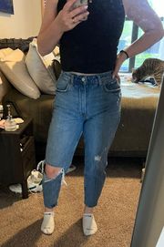 The 80s Mom High Rise Jeans