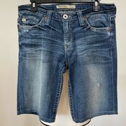 Big Star Vivian Low Rise shorts in a size 30