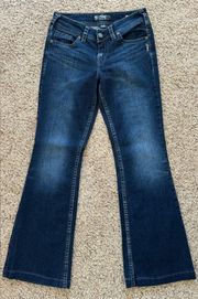 Silver Jeans Co. Mid Flare Jeans