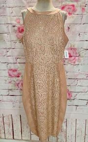 Roz & Ali Women's Sleeveless Halter Neck Lace Panel Champagne Dress Size 16 NWT