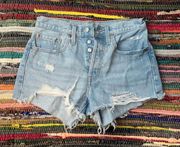 501 Shorts