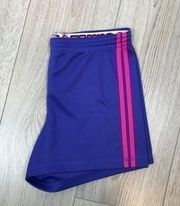 Faded Glory Purple & Pink Shorts Size XL (Juniors)