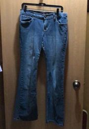 Vintage Jordache Jeans Juniors 13/14 Long